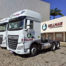 Caminhão Truck DAF 2019 / 2019